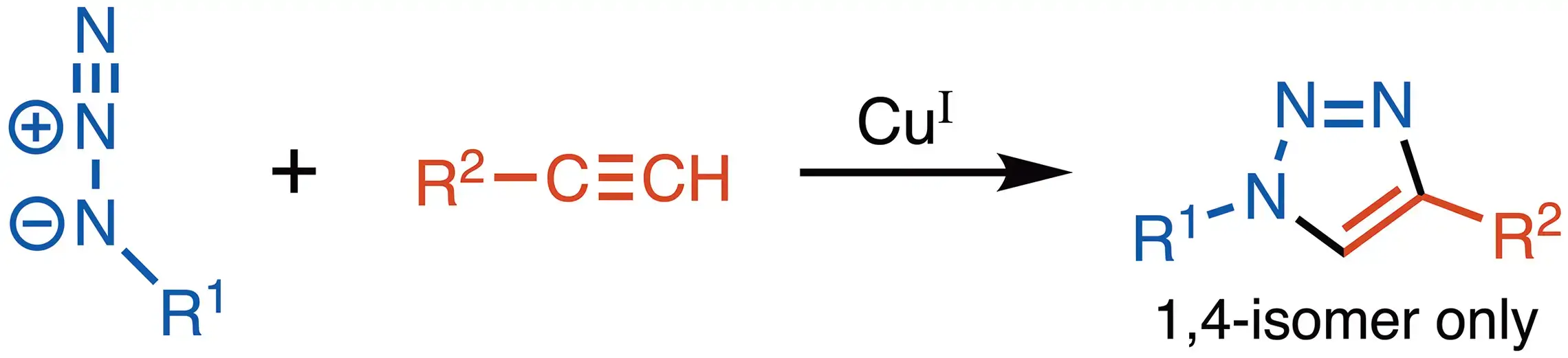 Click Chemistry Cuaac
